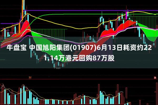 牛盘宝 中国旭阳集团(01907)6月13日耗资约221.14万港元回购87万股