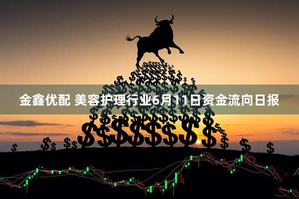 金鑫优配 美容护理行业6月11日资金流向日报