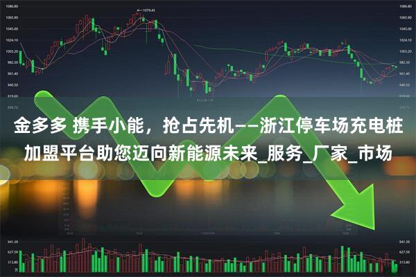 金多多 携手小能，抢占先机——浙江停车场充电桩加盟平台助您迈向新能源未来_服务_厂家_市场
