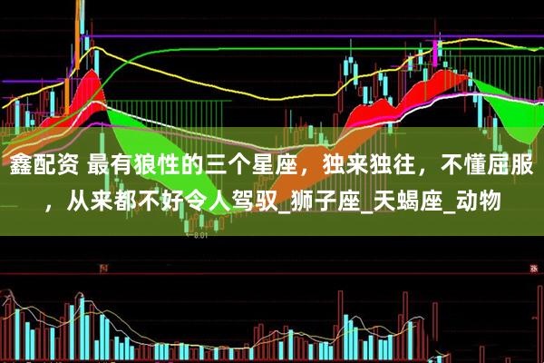 鑫配资 最有狼性的三个星座，独来独往，不懂屈服，从来都不好令人驾驭_狮子座_天蝎座_动物