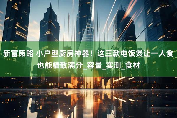 新富策略 小户型厨房神器！这三款电饭煲让一人食也能精致满分_容量_实测_食材